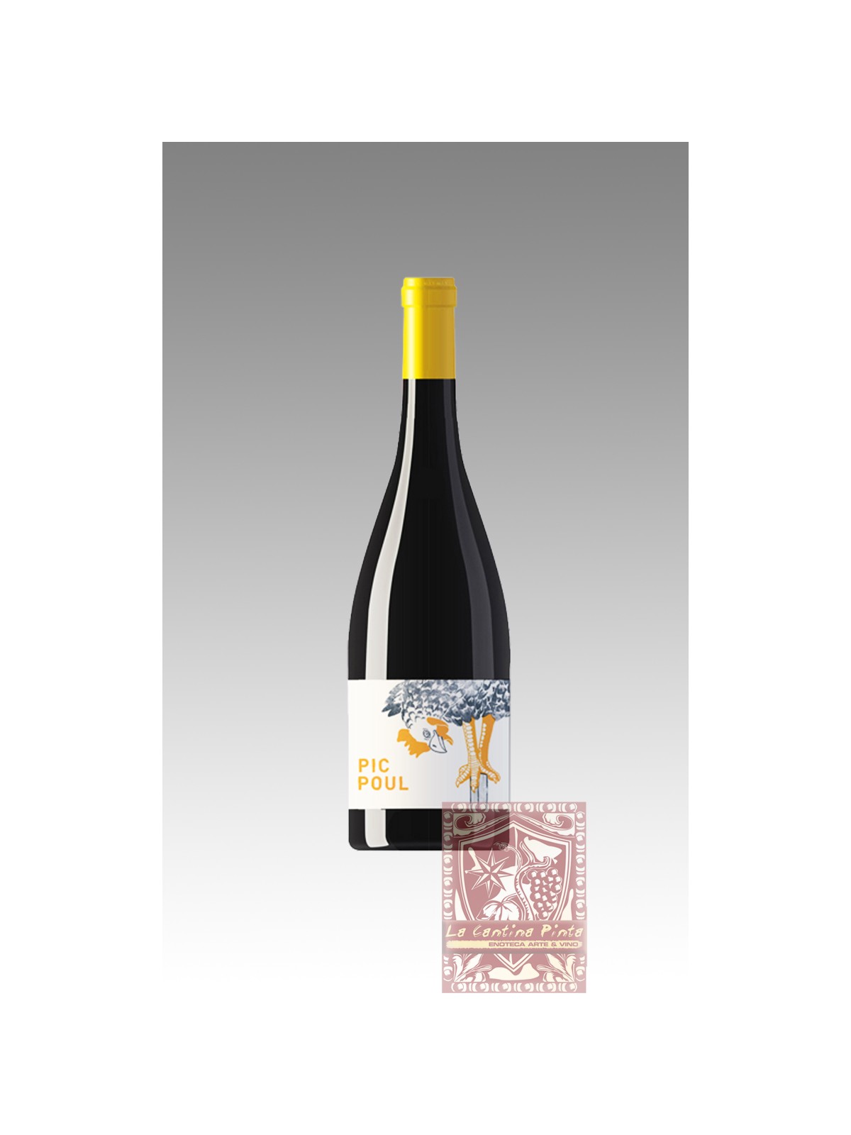  LES EQUILIBRISTES PICPOUL DE PINET 2019 - DOMAINE DE BRIDAU, MONTAGNAC