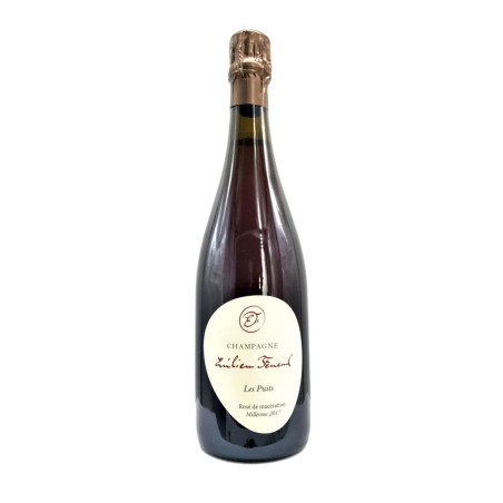 CHAMPAGNE LES PUITS 2018 ROSE' DE MACERATION - EMILIEN FENEUIL