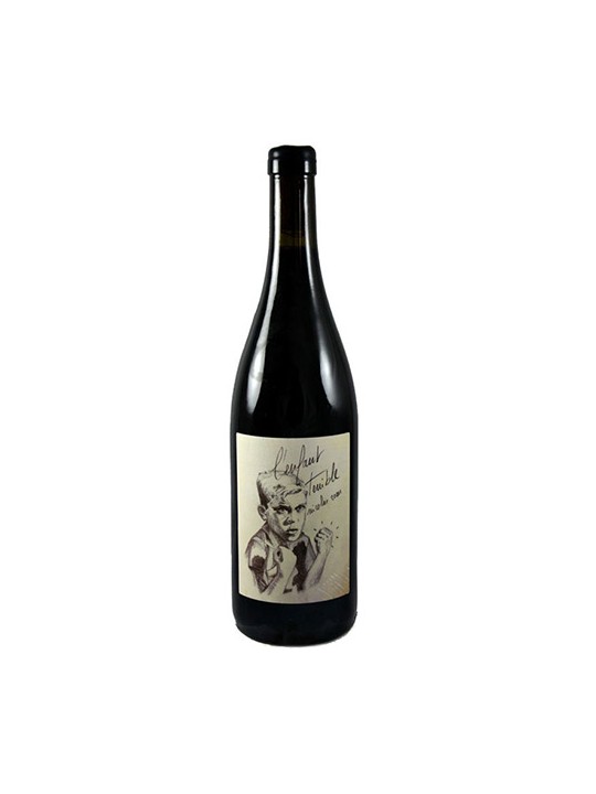 LE CLOS DES TREILLES ENFANT TERRIBLE 2015 ANJOU ROUGE