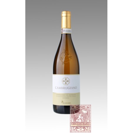 CAMBRUGIANO VERDICCHIO DI MATELICA RISERVA 2016 - BELISARIO