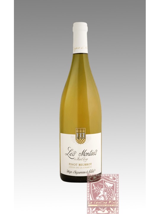 LES MONTEES DE SAINT LAY PINOT BEUROT COTES DE LA CHARITE' 2012 - SERGE DAGUENEAU