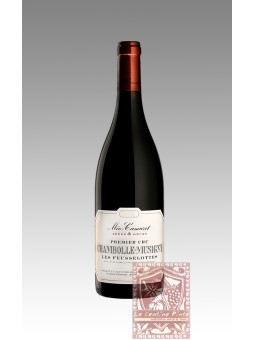 CHAMBOLLE MUSIGNY 2020 - MEO-CAMUZET