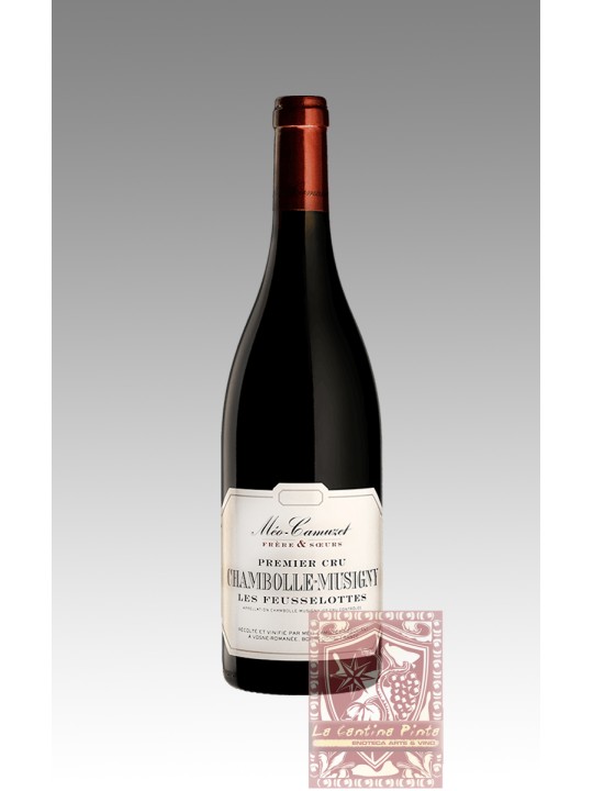 CHAMBOLLE MUSIGNY 2020 - MEO-CAMUZET