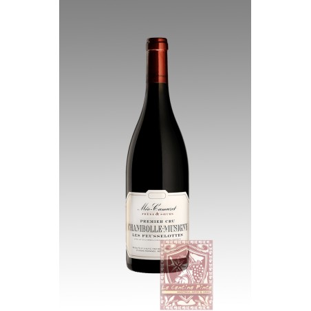 CHAMBOLLE MUSIGNY 2020 - MEO-CAMUZET