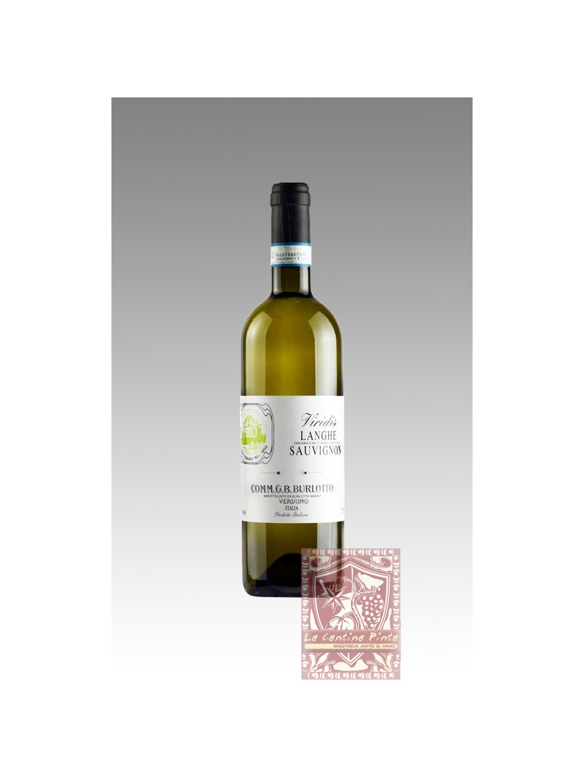 VIRIDIS LANGHE SAUVIGNON 2022 - BURLOTTO