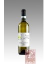 VIRIDIS LANGHE SAUVIGNON 2022 - BURLOTTO