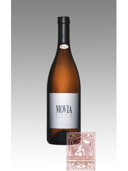 MOVIA BRDA GREDIC 2020