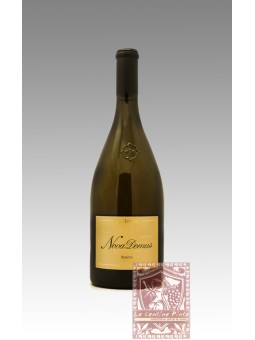 NOVA DOMUS RISERVA 2020 - CANTINA TERLANO