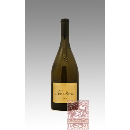 NOVA DOMUS RISERVA 2020 - CANTINA TERLANO