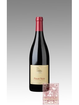 PINOT NERO 2019 - CANTINE TERLANO - KELLEREI TERLAN