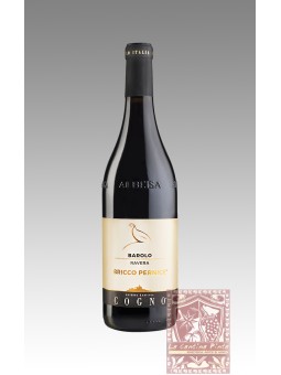 BAROLO BRICCO PERNICE 2009 - COGNO