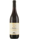 BAROLO BRICCO PERNICE 2009 - COGNO