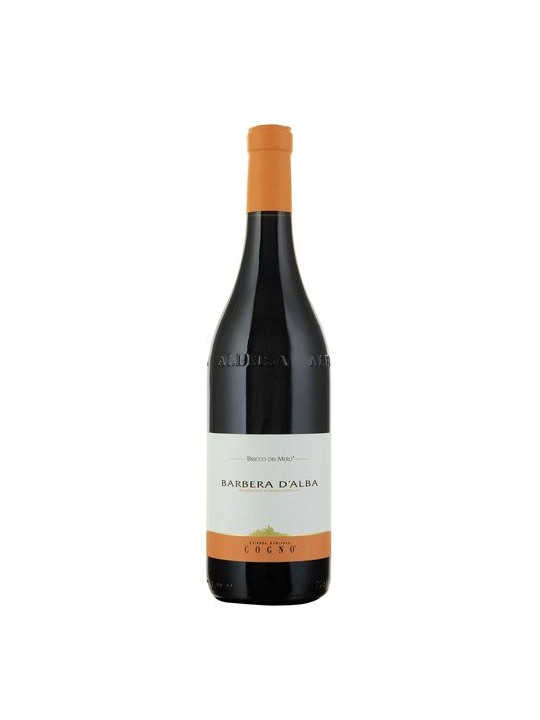 BARBERA D'ALBA BRICCO DEI MERLI 2003 - COGNO