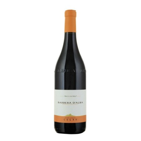 BARBERA D'ALBA BRICCO DEI MERLI 2003 - COGNO