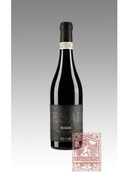 AMARONE RISERVA BOSAN 2010 - CESARI