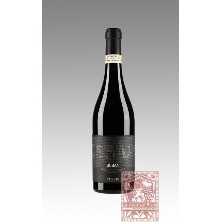 AMARONE RISERVA BOSAN 2010 - CESARI