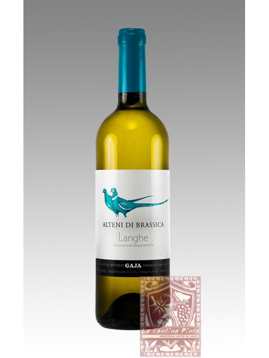 ALTENI DI BRASSICA SAUVIGNON 2007 - GAJA