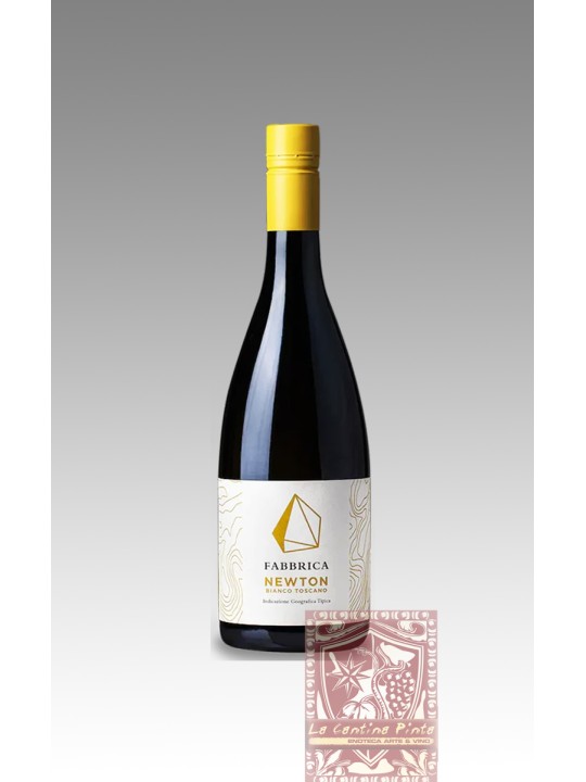 FABBRICA NEWTON 2021 BIANCO TOSCANA IGT