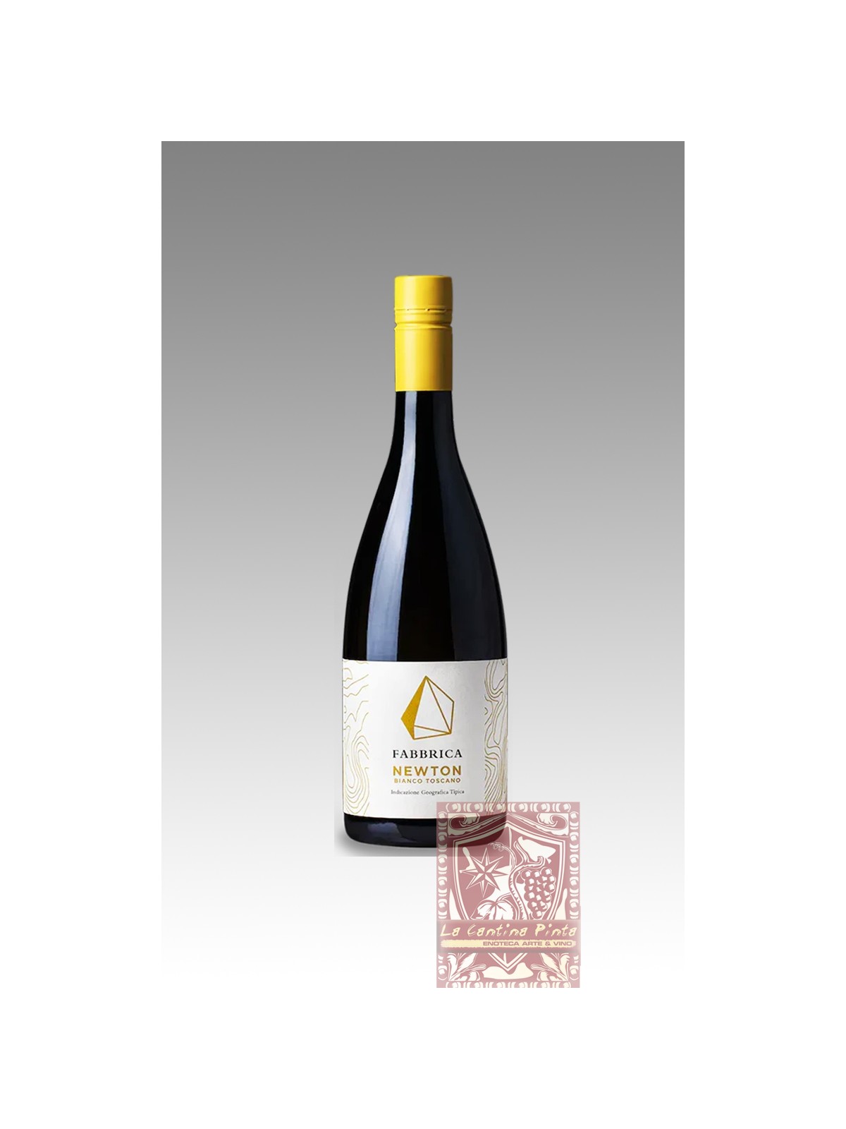 FABBRICA NEWTON 2021 BIANCO TOSCANA IGT