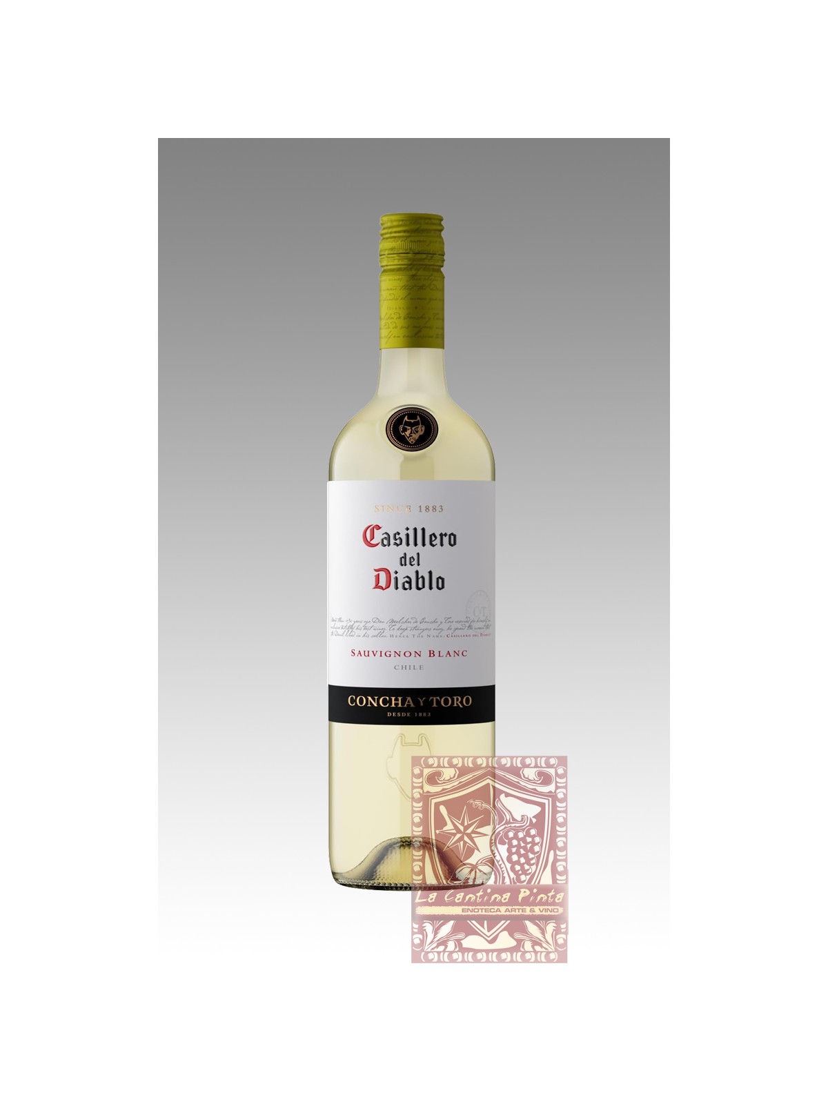 CASILLERO DEL DIABLO 2015 SAUVIGNON  VALLE DE RAPEL - CONCHA Y TORO