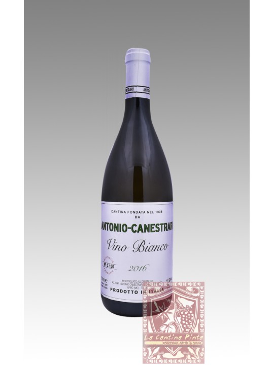 VERDICCHIO DEI CASTELLI DI JESI 2016 - ANTONIO-CANESTRARI