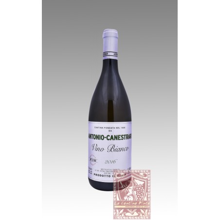 VERDICCHIO DEI CASTELLI DI JESI 2016 - ANTONIO-CANESTRARI