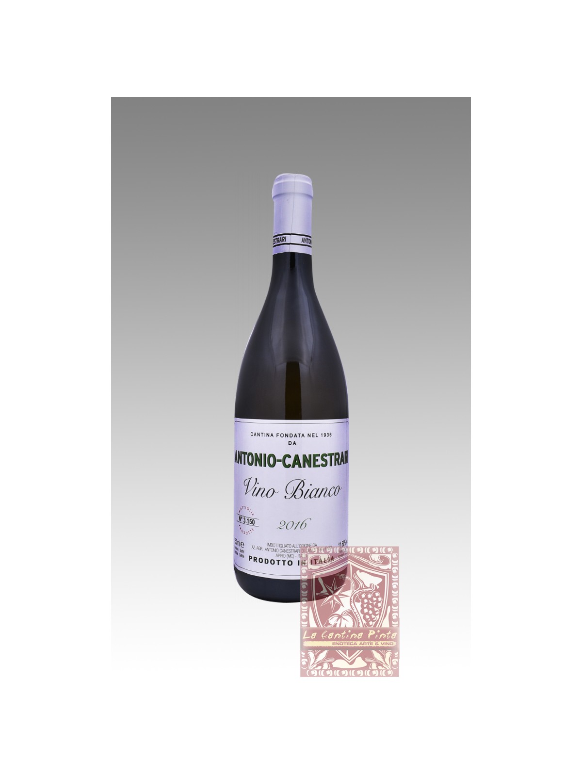 VERDICCHIO DEI CASTELLI DI JESI 2016 - ANTONIO-CANESTRARI