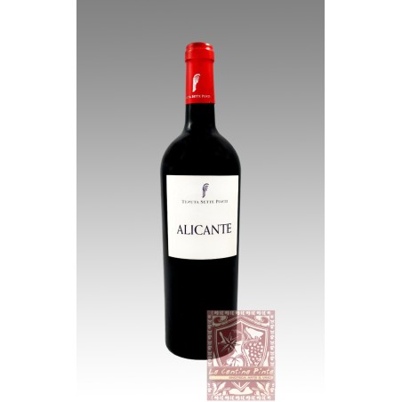 ALICANTE 2009 - TENUTA SETTE PONTI