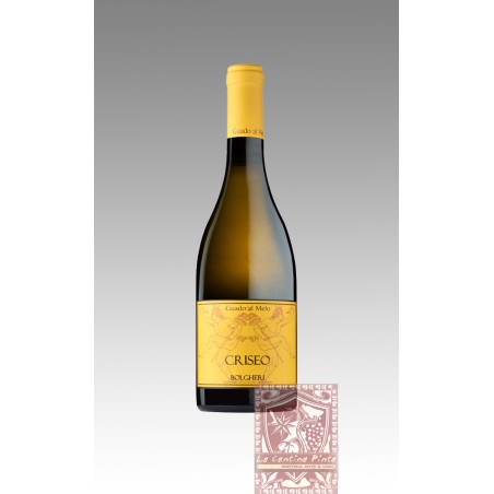 CRISEO BOLGHERI BIANCO 2022 - GUADO AL MELO
