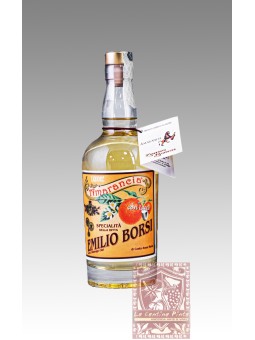 AMARANCIA CON LATTE 2024 LIQUORE   0,5 LT (NO GLUTINE, NO LATTOSIO)  - EMILIO BORSI