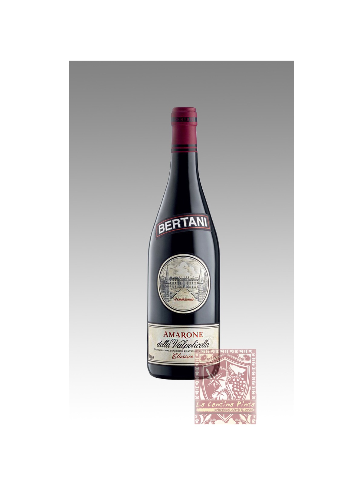 AMARONE CLASSICO 2001 - BERTANI