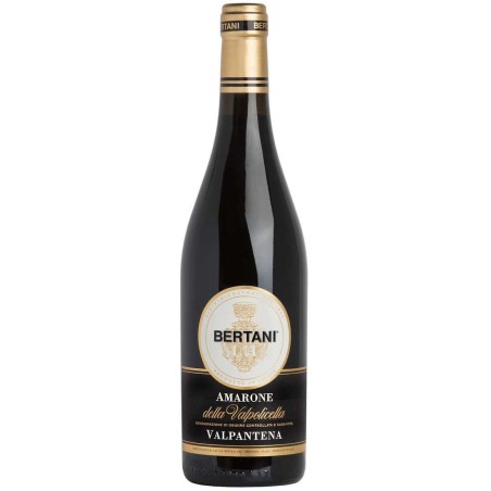 AMARONE DELLA VALPOLICELLA 2013 VALPANTENA - BERTANI