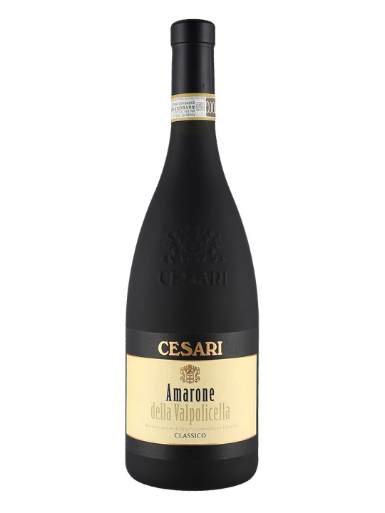 AMARONE DELLA VALPOLICELLA 2017 - CESARI