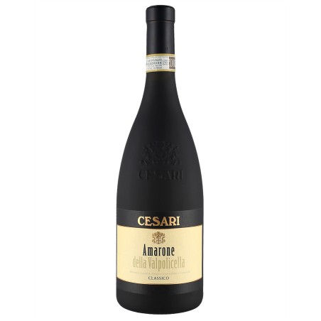 AMARONE DELLA VALPOLICELLA 2017 - CESARI