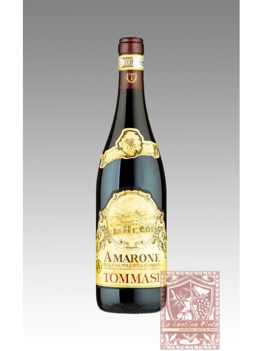 AMARONE DELLA VALPOLICELLA CLASSICO 2017 -TOMMASI