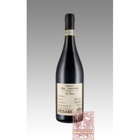 AMARONE DELLA VALPOLICELLA IL BOSCO 2018 - GERARDO  CESARI