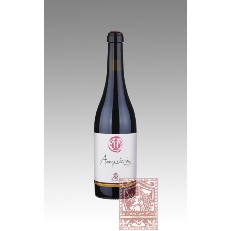 AMPELEIA 2018 COSTA TOSCANA - AMPELEIA
