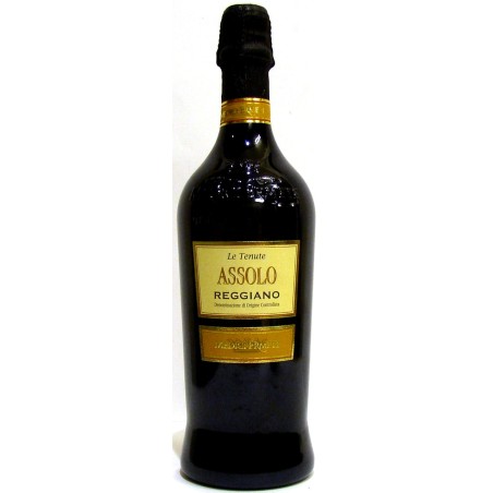 ASSOLO REGGIANO DOC VINO ROSSO FRIZZANTE - MEDICI ERMETE