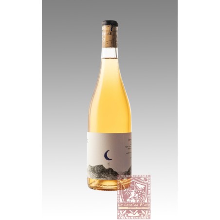 BALENAIA BIANCO 2020 TOSCANA IGT - BALENAIA