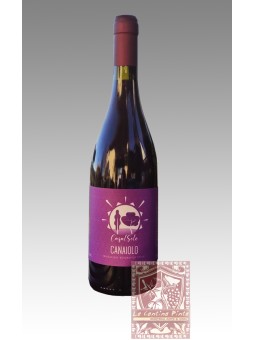 CANAIOLO 2021 - CASALSOLE