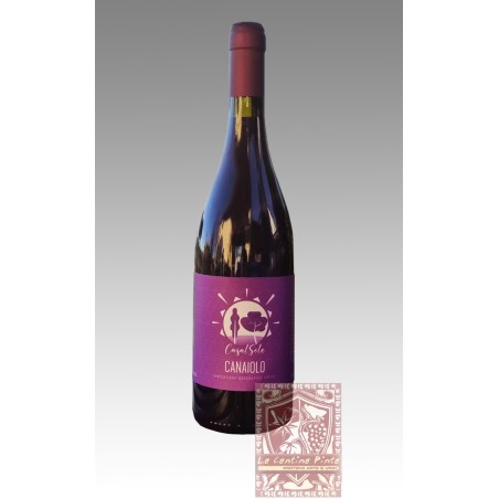 CANAIOLO 2021 - CASALSOLE
