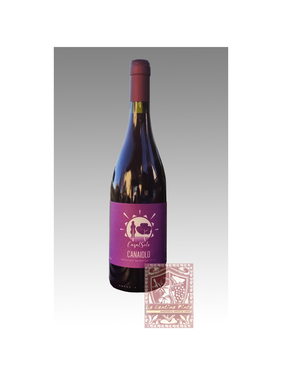 CANAIOLO 2021 - CASALSOLE