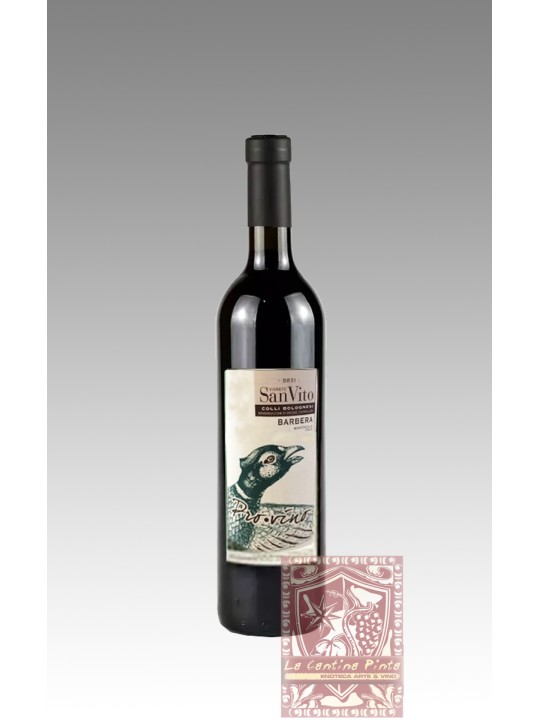 BARBERA 2009 VIGNETO SAN VITO - ORSI
