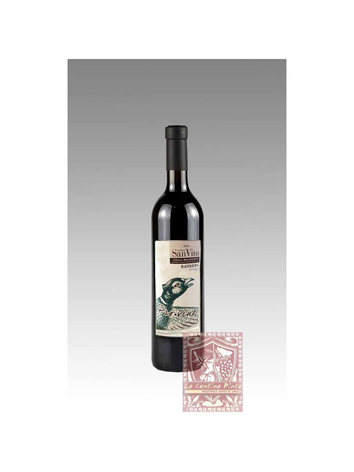 BARBERA 2009 VIGNETO SAN VITO - ORSI