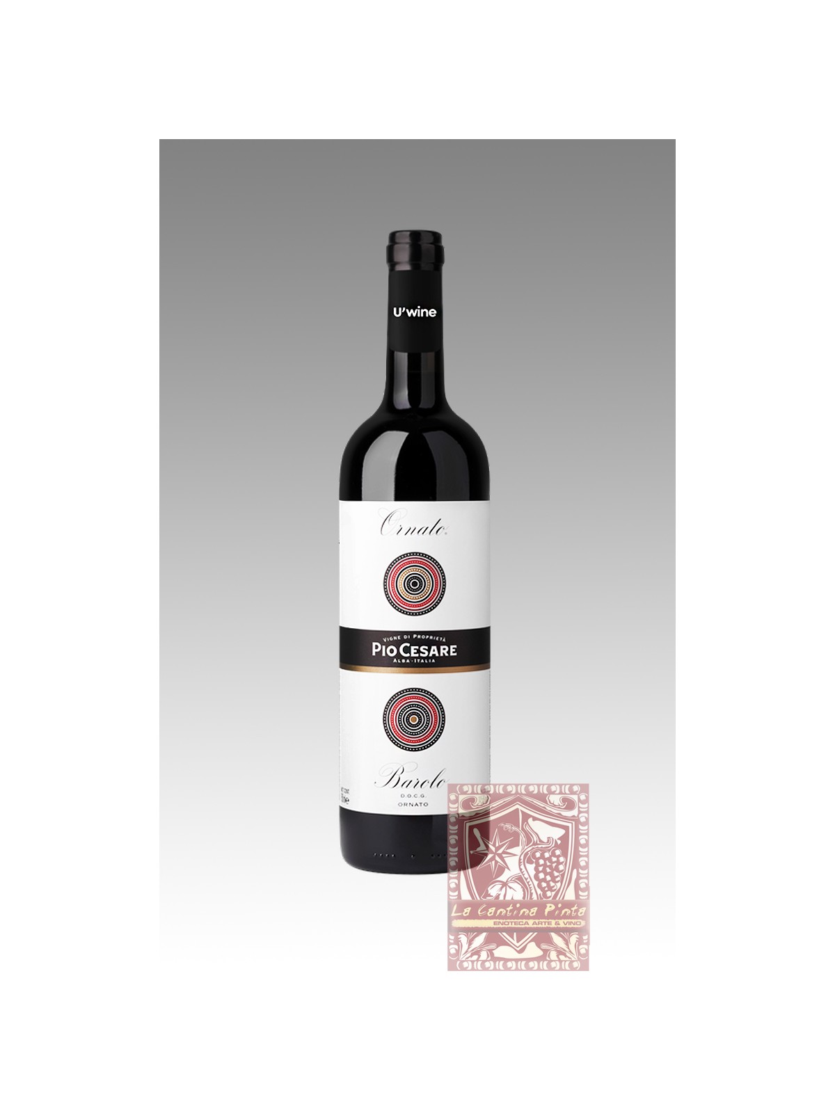 BAROLO ORNATO 2020 - PIO CESARE