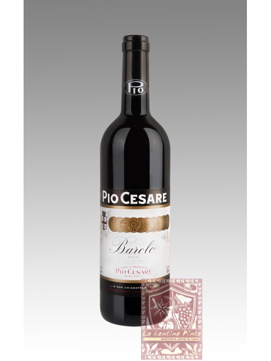 BAROLO 2020 - PIO CESARE
