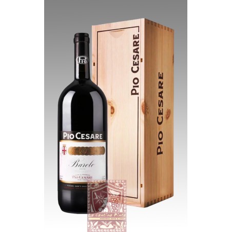 BAROLO 2019 MAGNUM 1,5 lt.- PIO CESARE
