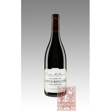 PREMIER CRU VOSNE-ROMANEE LES CHAUMES 2019 - MEO CAMUZET
