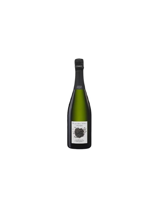 CHAMPAGNE BRUT NATURE LA TERRE COMPLANTES - MARIE COPINET