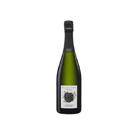 CHAMPAGNE BRUT NATURE LA TERRE COMPLANTES - MARIE COPINET